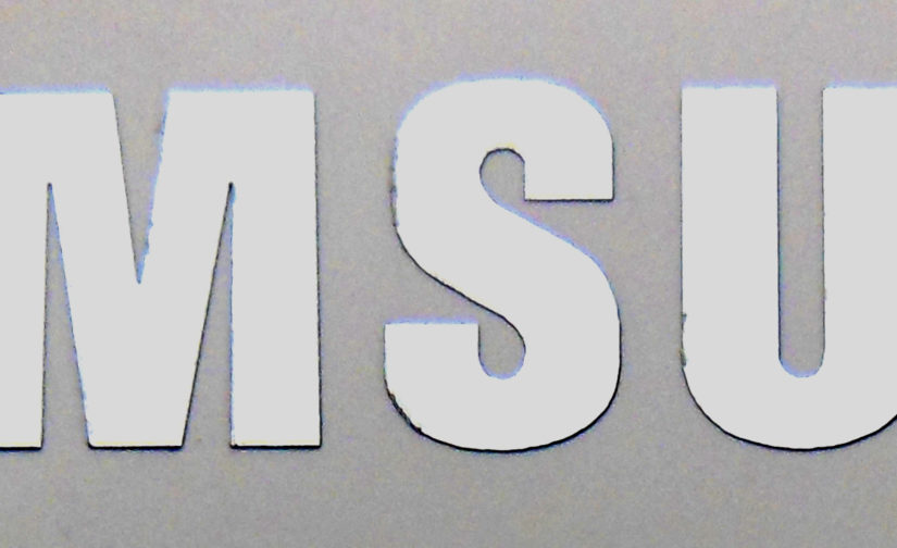 VATH Made Samsung Metal Sticker  10.5 x 80mm / 7/16" x 3 1/8"" [C68]