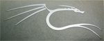 backtrack / KALI Linux Dragon Metal Sticker (Low Profile) 27 x 66mm [958]