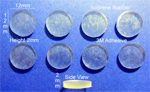Isoprene Rubber Feet 12mm(L)x 12mm(W)x 2mm(H) Self Adhesive 8pcs [RB95]